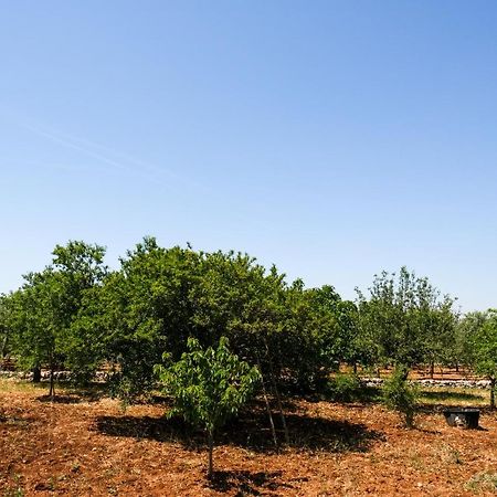 Trullo Elvira & Luigi Villa Monopoli Buitenkant foto