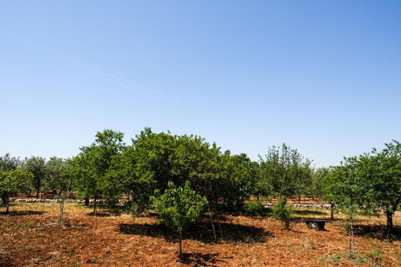 Trullo Elvira & Luigi Villa Monopoli Buitenkant foto